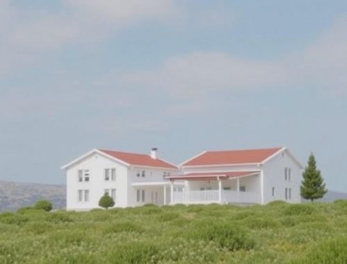 Non-EU Property Purchase Process in Cyprus: Complete Legal Guide